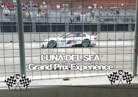 White race car in the Luna Del Sea Grand Prix album.