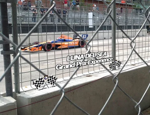 Orange race car behind the circuit fence.